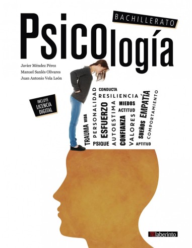 PSICOLOGIA 2ºNB 23 FANFEST LABERINTO